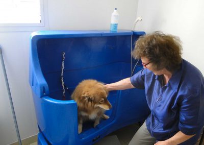 Beauté Canine Saint Marcel et Vernon , baignoire pour le bain libre service