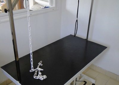 Salon de toilettage Saint Marcel , table réglable en hauteur pour séchage et soins après le bain libre service