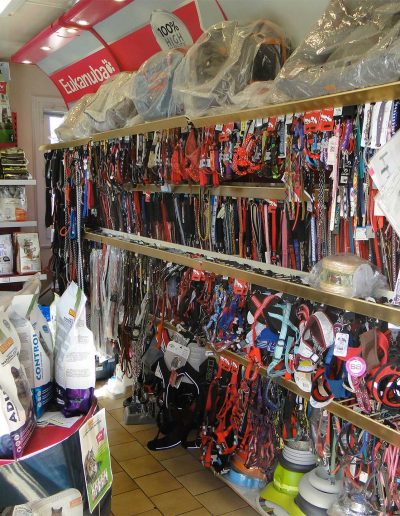 Accessoires pour Chiens et Chats à Vernon, Saint Marcel, Gaillon, Eure