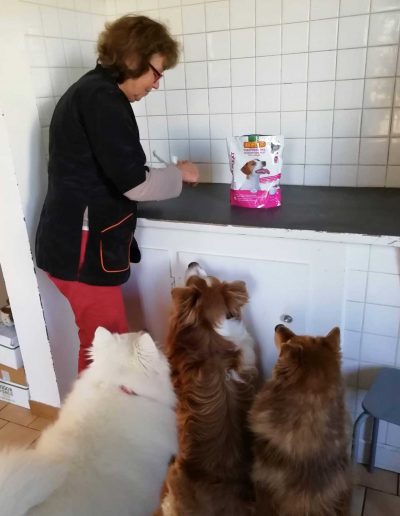 Salon de toilettage à Saint Marcel