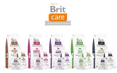 Croquettes pour Chiens Brit Care