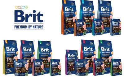 Croquettes pour Chiens Brit Premium by Nature