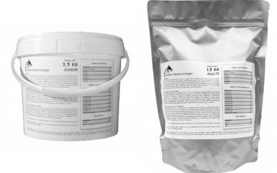 Croquettes pour Chiens Entre Chiens et Loups