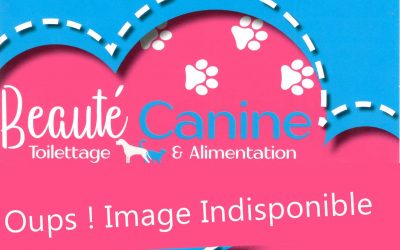 Croquettes pour Chiens Eukanuba