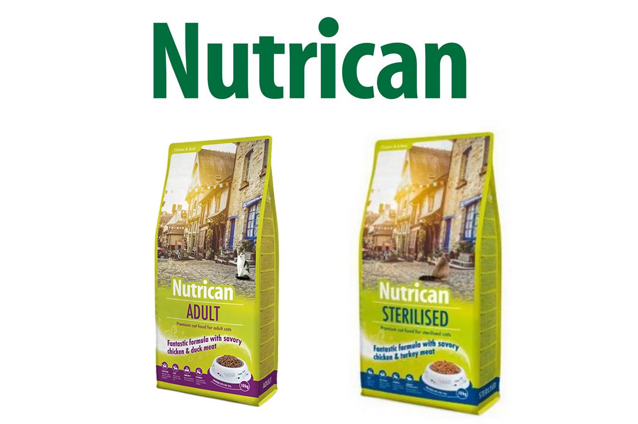 Nutrican-chat-croquette-bonniere