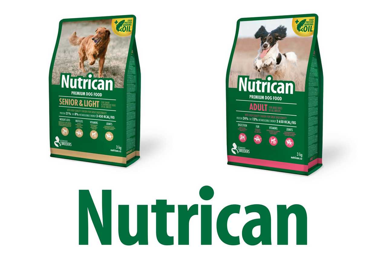 croquette-nutrican-chien-vernon