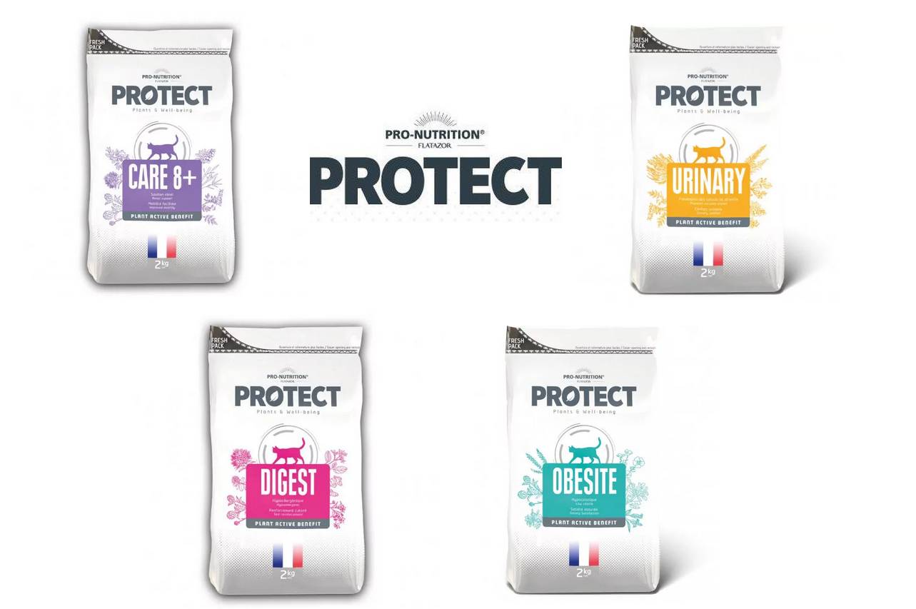 croquette protect chat