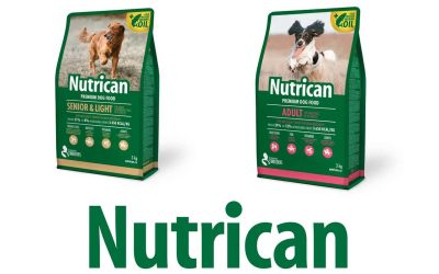 Croquette pour chien Nutrican