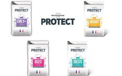 Croquette chat Protect