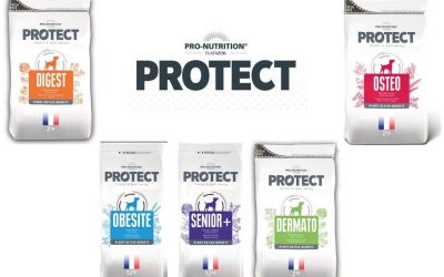 Croquette chien Protect